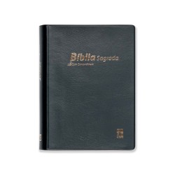 Bíblia DN42C | Preta | Capa vinil | Concordância | Letra pequena